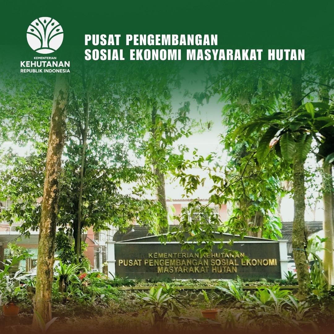 image P2semh